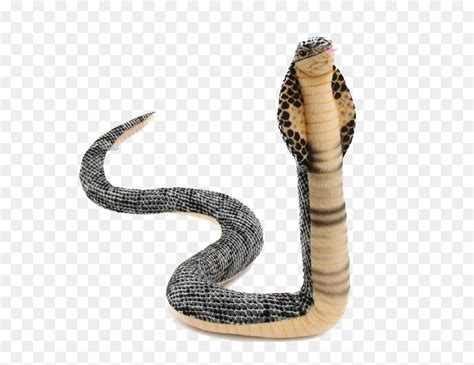 Cobra direct sale indonesia is a nationwide sales and marketing company, that serves wide range of customers with an extensive range of products and services. King Cobra Png Photos - King Cobra Stuffed Animal, Transparent Png - 600x600 PNG - DLF.PT