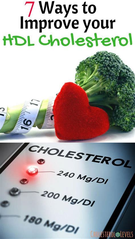 Improve Your Hdl Cholesterol Numbers Raise Your Hdl Cholesterol