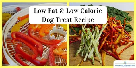 It will be convenient for us pet parents so we can avoid going out to get the ingredients. Low Fat and Low Calorie Dog Treats | Healthy Homemade Dog Treats ~ Raising Your Pets Naturally ...