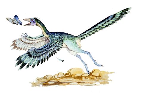 Feathers Or Scales New Research Highlights Dinosaur Diversity