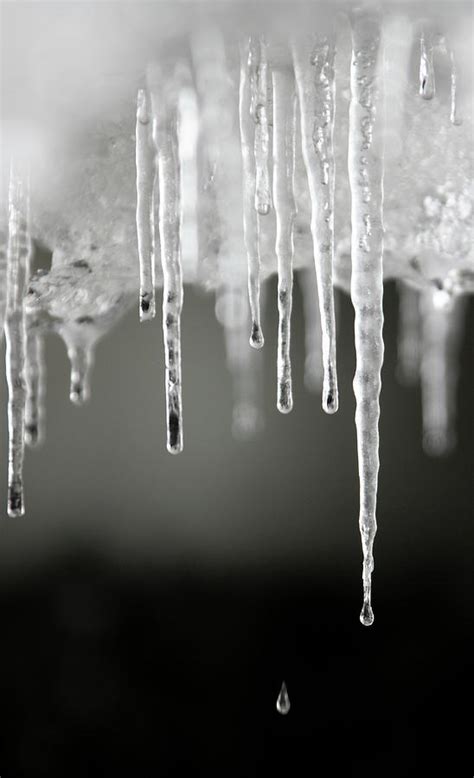 Melting Icicles 2 Photograph By Steve Allenscience Photo Library Pixels