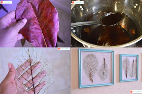 How To Make Skeleton Leaves With Printable Instructions