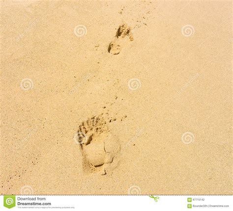 A Pristine Beach In The Windward Islands Stock Photo Image Of Steps