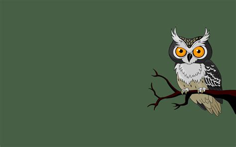 Free Download Owl Branch Owl Bird Green Background Minimalism