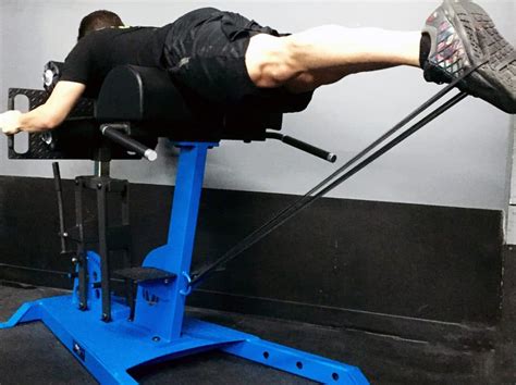 Reverse Hyperextension Guide — Muscles Worked Variations And Benefits