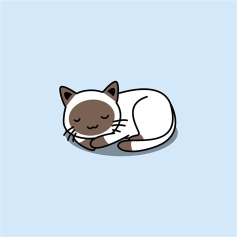 Cute Siamese Cat Sleeping Cartoon 2403581 Vector Art At Vecteezy