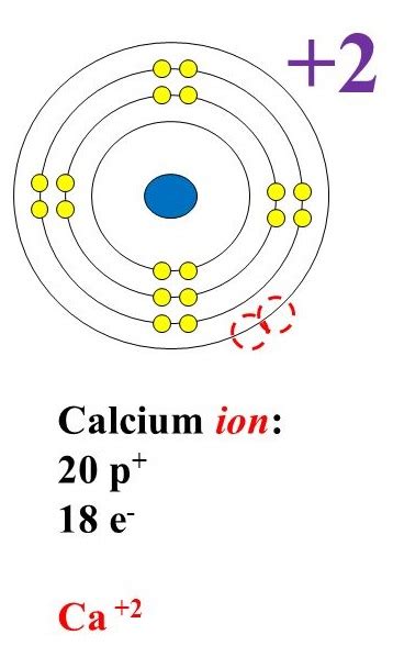 Solved Draw Calcium Ion Lewis Dot Diagram Draw A Calcium Ion Bohr