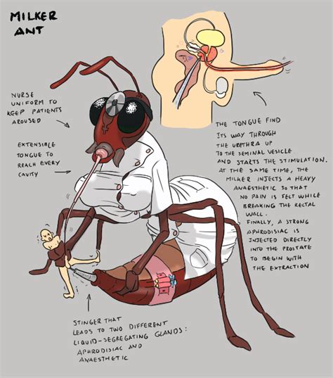 Rule 34 Ant Cbt Cock And Ball Torture Doctor Insects Male Male