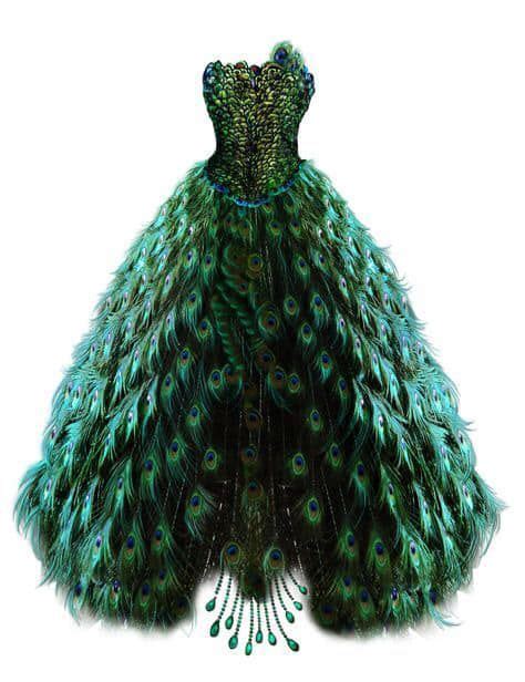 pin by angel beard on amazing fashion peacock dress peacock wedding dresses peacock feather