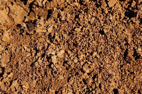 6 Types Of Soil Differences Appearance Uses