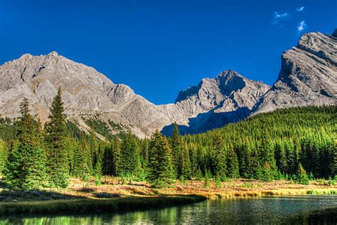 Elbow Lake Alberta Stock Photos Pictures And Royalty Free Images Istock