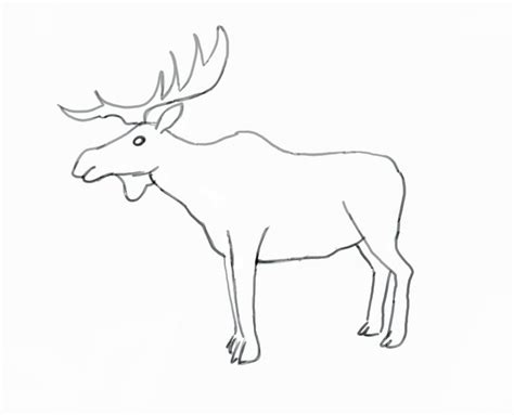 How To Draw A Moose Easy Drawing Tutorial