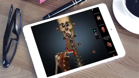 Anatomy Learning 3d Atlas Apk لنظام Android تنزيل