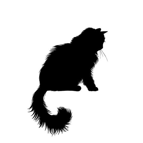 Persian Cat Silhouette Pets Lovers