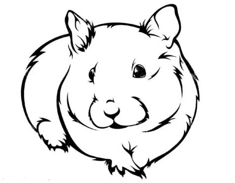 Hamster Correndo Para Colorir Imprimir E Desenhar Colorir Me