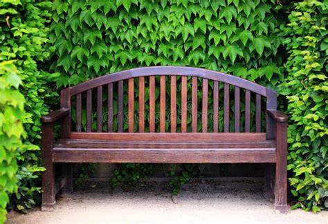 Wooden Garden Bench Surrounded By Green Foliage Stock Photo Image Of