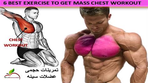 Best Exercise For Mass Chest Workout Youtube