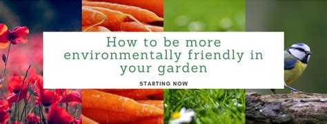 How To Be More Environmentally Friendly In Your Garden Starting Now