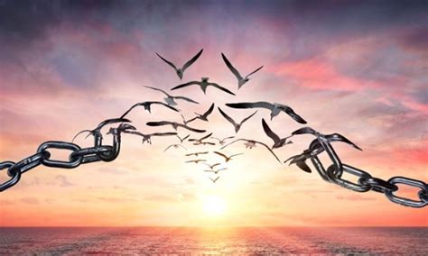 Borrowed from latin lībertās, lībertātem. Yo Influyo News - Libertad para poder vivir