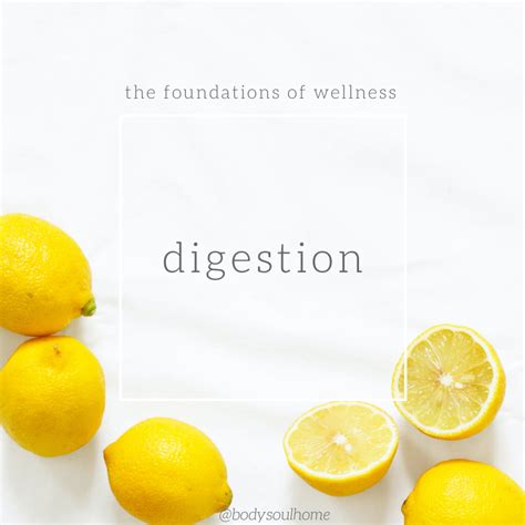 Foundations Of Wellness Series Digestion Body Soul Home