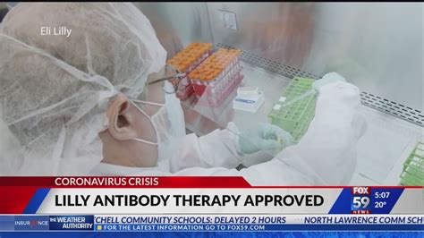 Eli Lilly Antibody Therapy Approved By Fda Youtube