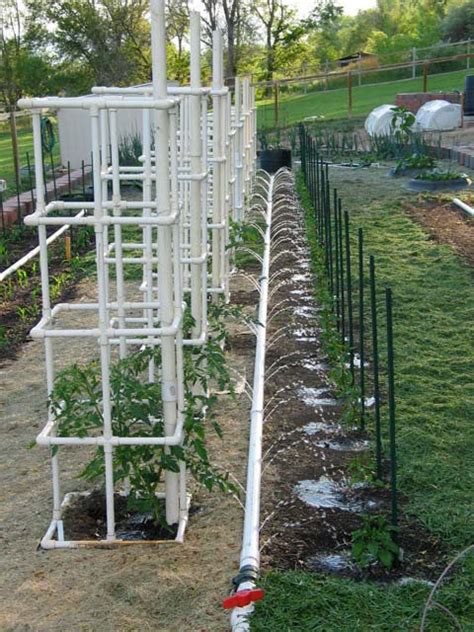 32 Free Diy Tomato Trellis And Cage Ideas To Grow Your Tomato Big And