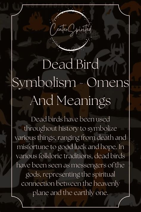 Dead Bird Symbolism Omens And Meanings