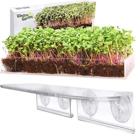 Window Garden Microgreens Grow Kit With Double Veg Ledge