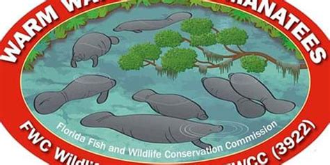 Florida Fwc Reveals Manatee And Sea Turtle Decals For 2019