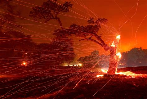 Wildfires In California Us Heatwave Could Us And Canada See The Worst Wildfires Yet Bbc News