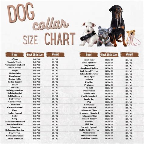 Dog Collar Size Chart 58 Breeds Etsy