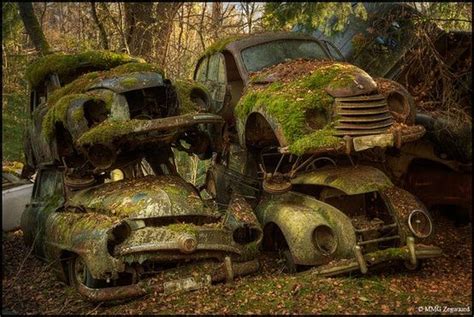 Car Graveyard Sweden Abandoned Cars Graveyard Abandoned