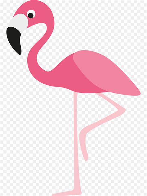 Cartoon Clipart Flamingo Cartoon Flamingo Transparent Free For