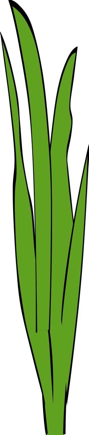 Grasses , clump s transparent background png clipart. Clipart Panda - Free Clipart Images
