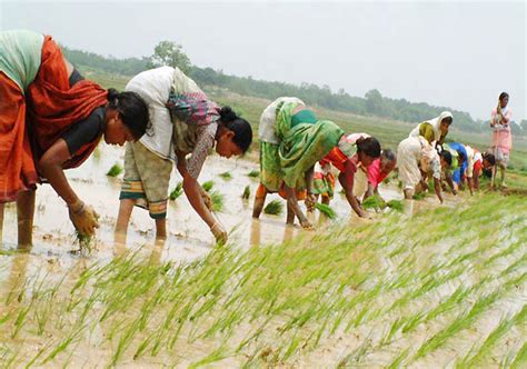 The historically rich land of bihar is equally famous for the plethora of delicacies that feature in its cuisine. Bihar set to use nuclear energy in agriculture | India ...
