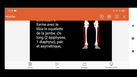 Anatomie Du Partie Inf Rieure Du Squelette Appendiculaire Eps Youtube