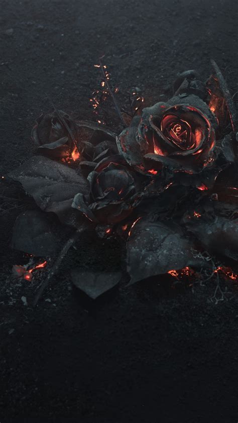 Download 1080x1920 Rose Ashes Fire Black Dark Theme Wallpapers For
