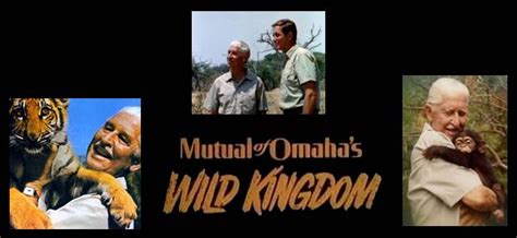 Loved Me Some Wild Kingdom Wild Kingdom Kingdom Tv Show Childhood
