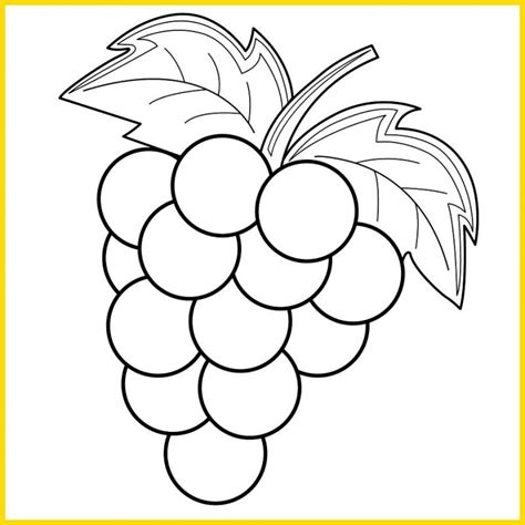 √ 100 Sketsa Buah-Buahan: Terbaik, Paling Mudah Digambar - Sindunesia