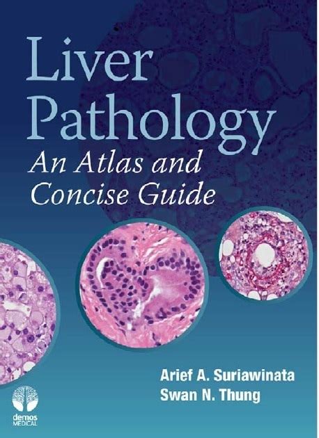 Liver Pathology An Atlas And Concise Guide 1st Edition Medicos Republic