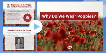 Why We Wear Poppies On Remembrance Day — Powerpoint For Kids