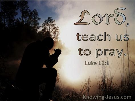 29 Bible Verses About Jesus Praying