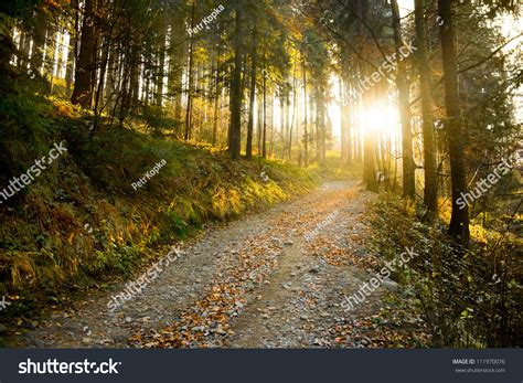 Beautiful Autumn Forest Mountain Path Sunset Stock Photo 111970076