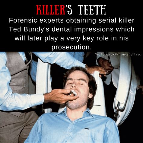 During Ted Bundys Dental Impression Rsbtcommunity Rtruecrime