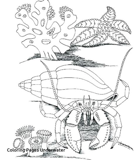 Underwater Coloring Pages At GetColorings Free Printable