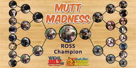 Mutt Madness 2019 Congratulations Ross