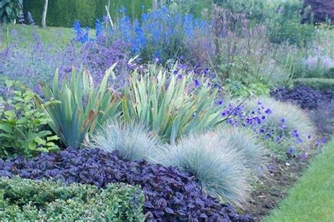 Planting Combinations Fit For A Queen Rhs Partner Gardens Articles