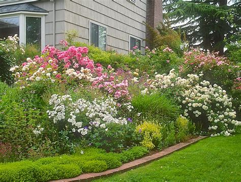 Rose Garden Ideas How To Design With Roses Garden Design