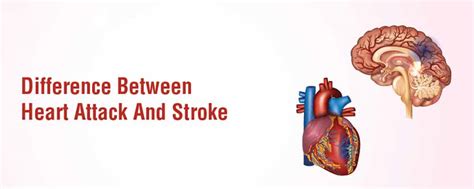 Difference Between Heart Attack And Stroke