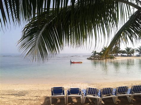 Free Photo Palm Tree Caribbean Tropical Ocean Vacation Beach